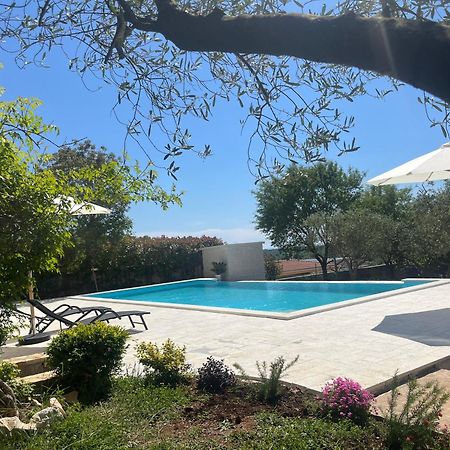 Apartments Fra & Mar With Swimming Pool In 2025 Sorici Dış mekan fotoğraf